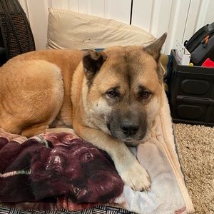 Meet your Posher, Kaitlin